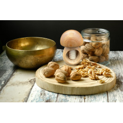 CASSE-NOIX CHAMPIGNON